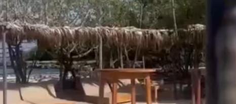 Fénix Beach en momentos donde sucedió el ataque sicarial.