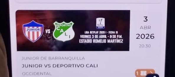 Boleta de aficionado abonado que no pudo ingresar al Romelio Martínez,