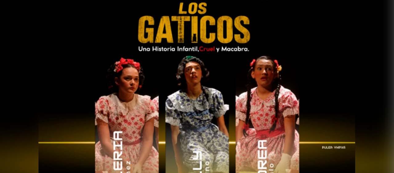 'Los gaticos'.