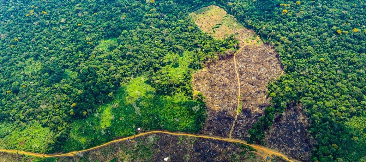 Crisis ambiental y de seguridad en la Amazonía amenaza a comunidades indígenas.