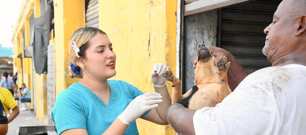 Jornadas de bienestar animal desarrolladas en el sector de Barranquillita.