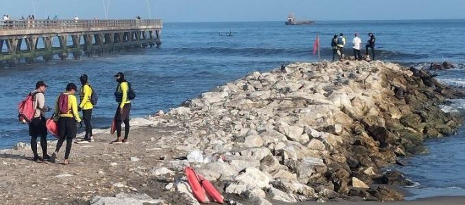 Sector del Muelle. 