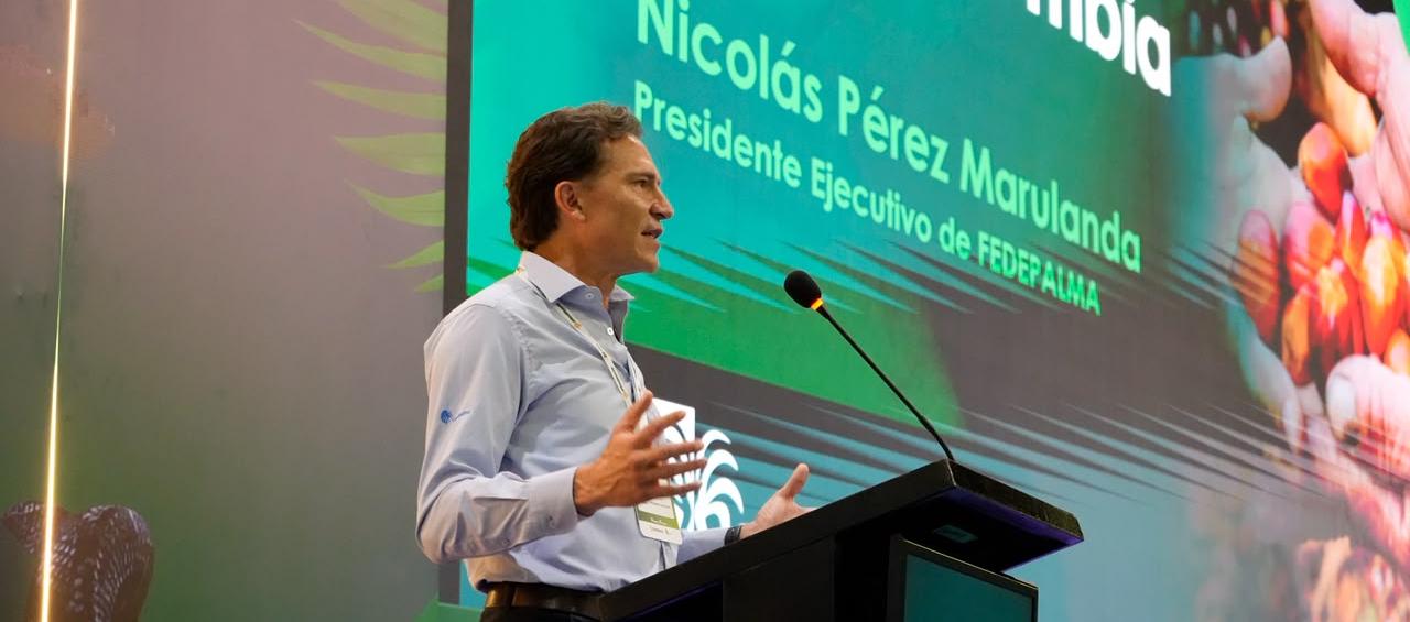 Nicolás Pérez Marulanda, presidente Ejecutivo de Fedepalma.