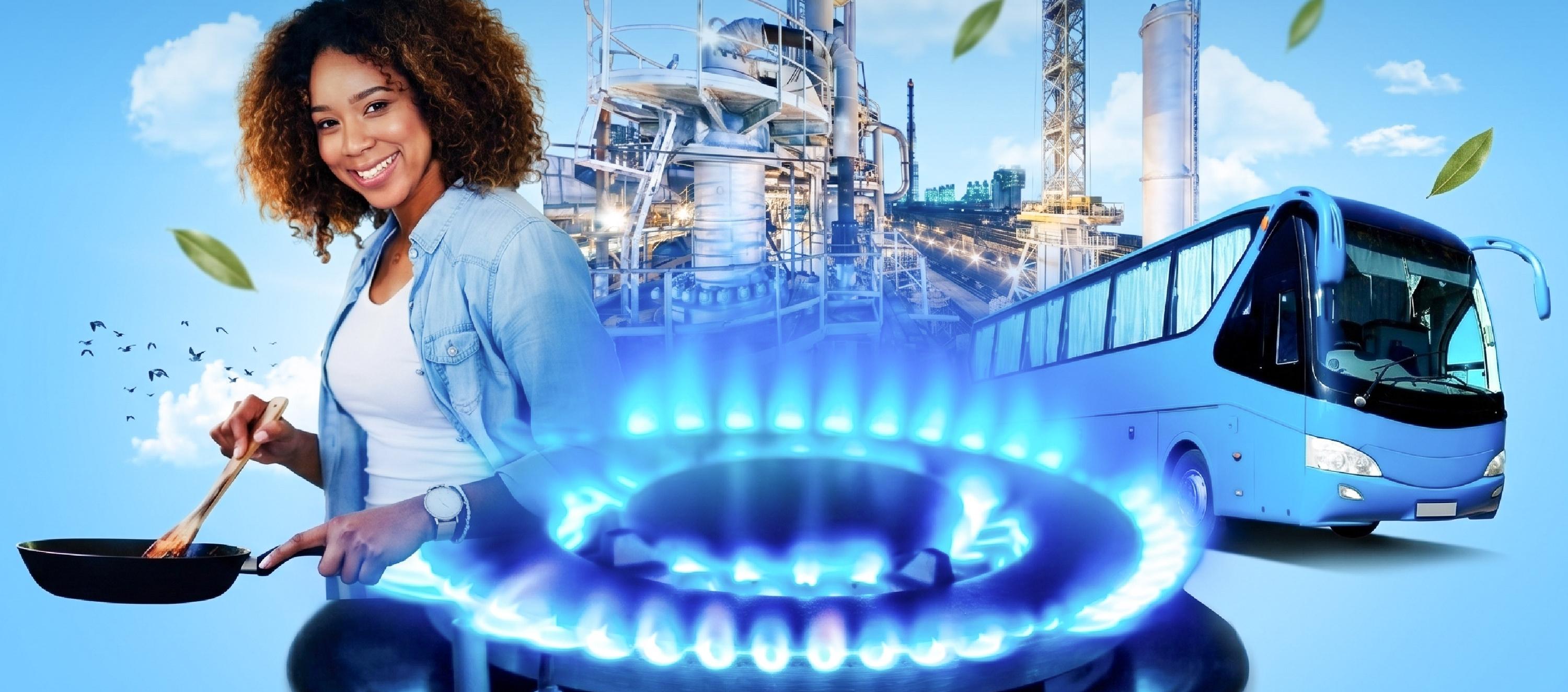Uso del Gas Natural