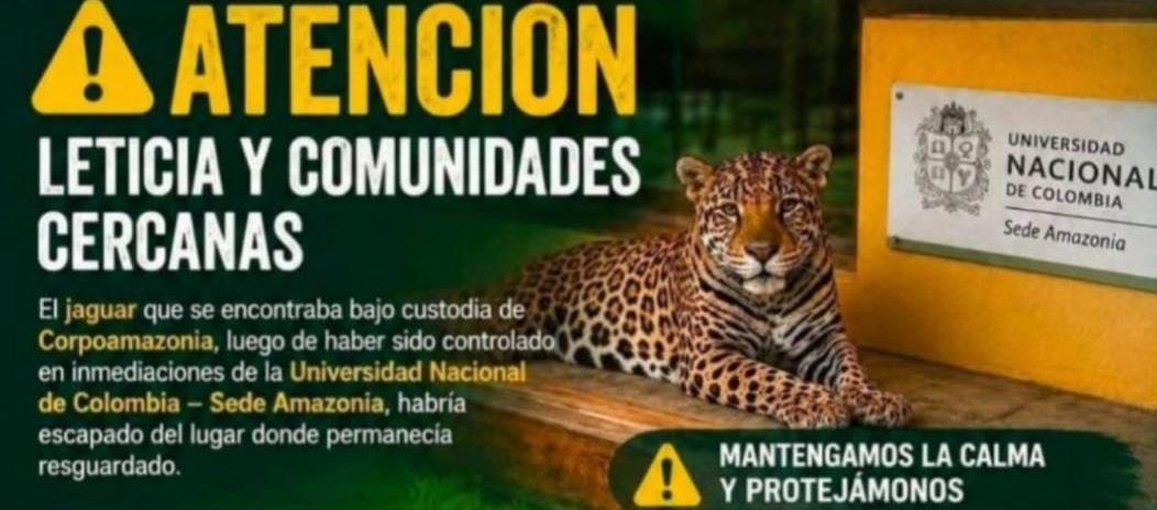 Afiche informativo. 