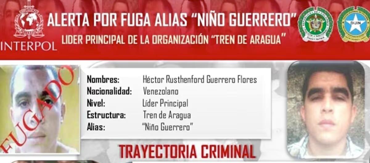 Alias 'Niño Guerrero'