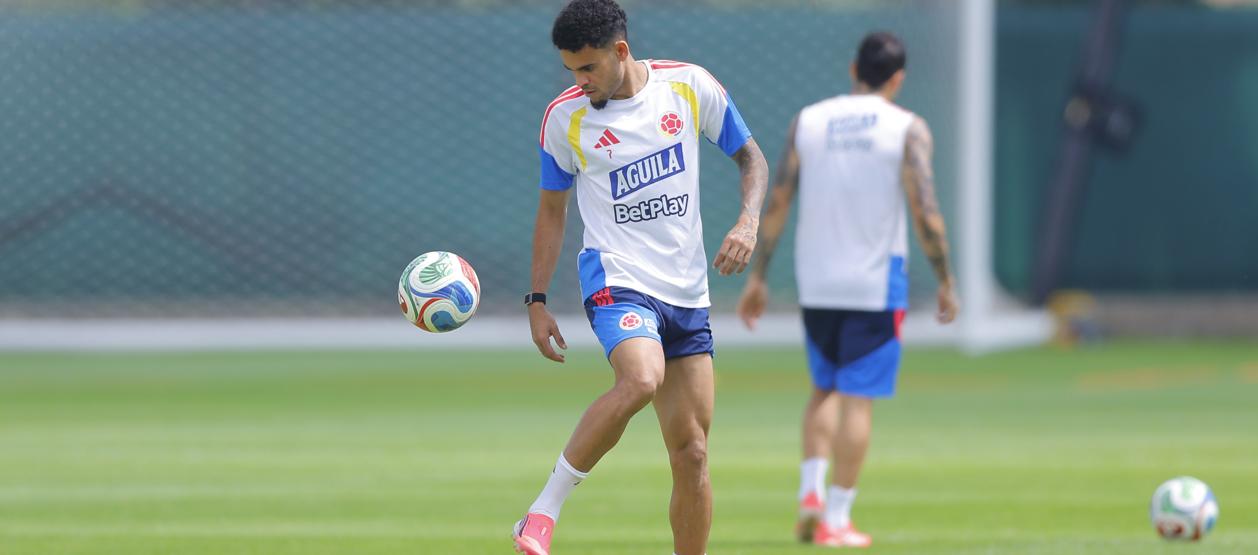 Luis Díaz, extremo de la Selección Colombia. 