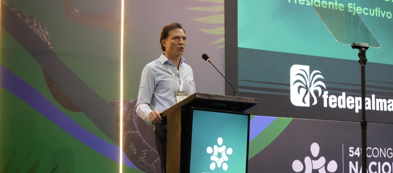 Nicolás Pérez Marulanda, presidente Ejecutivo de Fedepalma.