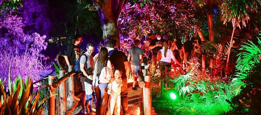 Safari nocturno.
