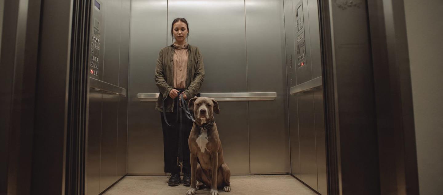 Una mujer con su perro de compañía en un ascensor de un conjunto residencial. 