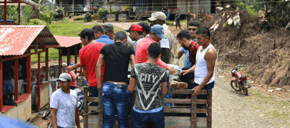 Boletín de Movilidad humana de la Defensoría del Pueblo