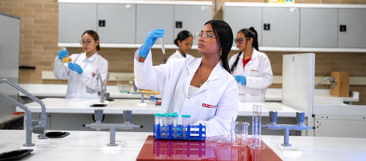 Los estudiantes seleccionados recibirán una beca equivalente al 20 % del valor de la matrícula del primer semestre. 