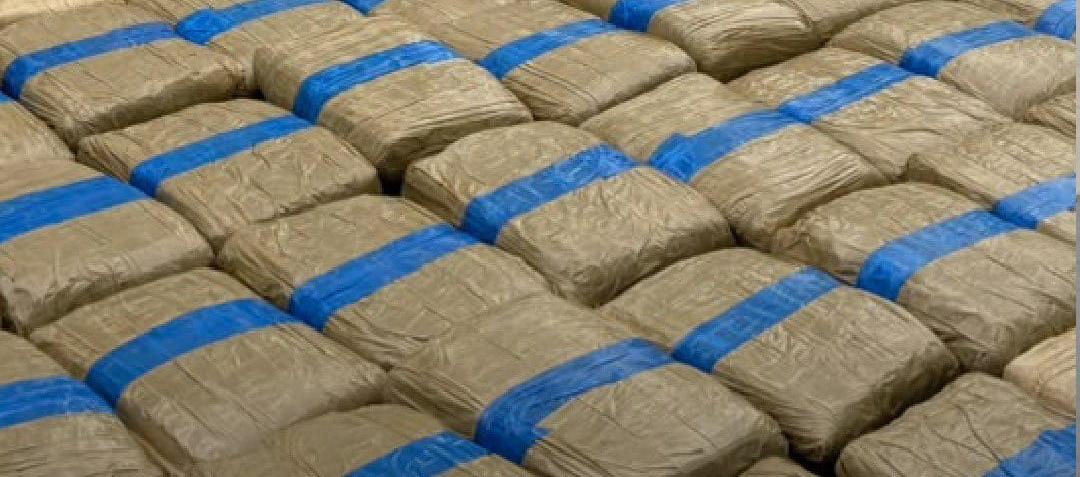 Marihuana incautada por las autoridades de Ecuador. 