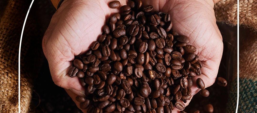 Colombia es el tercer productor mundial de café, por detrás de Brasil y Vietnam