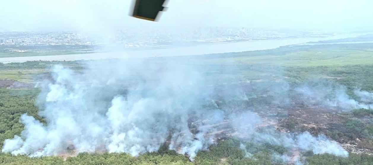 Uno de los tanto incendios ocurridos en el Parque Isla Salamanca. 