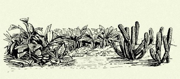 La exposición itinerante 'Raíces y horizontes' estará en Barranquilla del 10 al 24 de julio. 