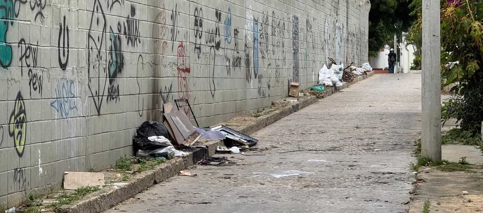 Callejón donde fueron encontrados los dos perros en un costal. 
