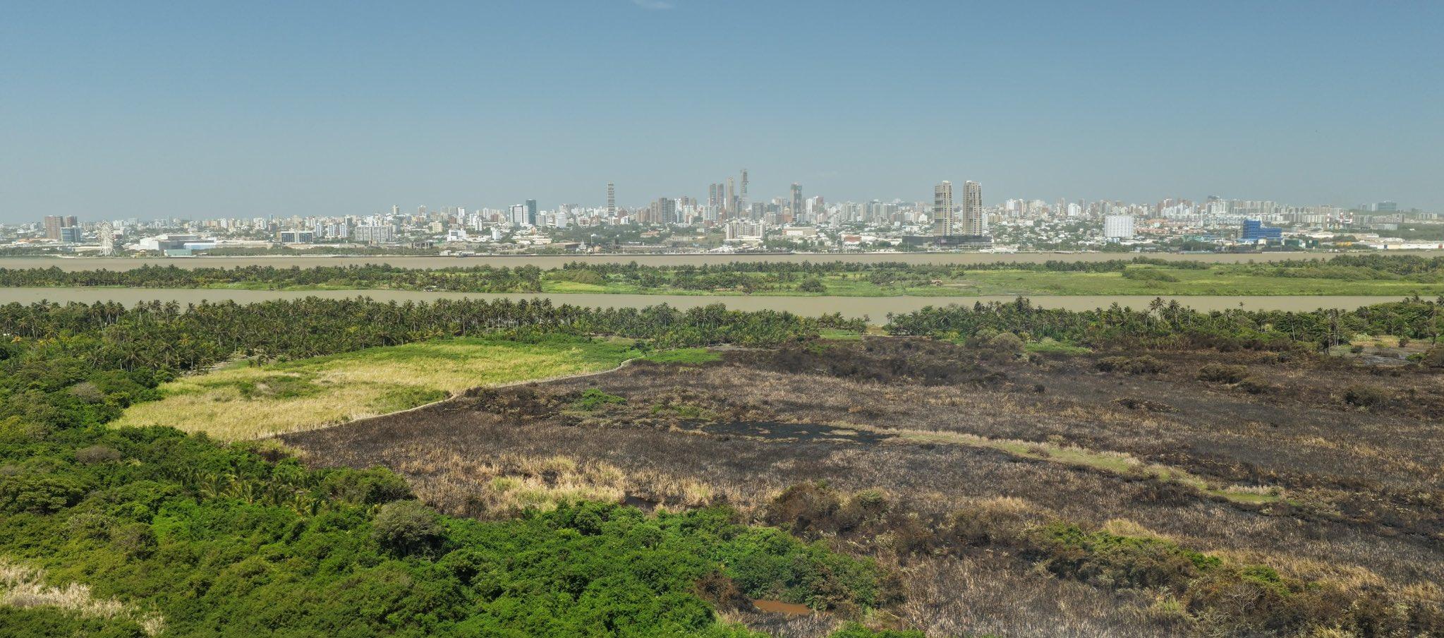 Parque Isla Salamanca.