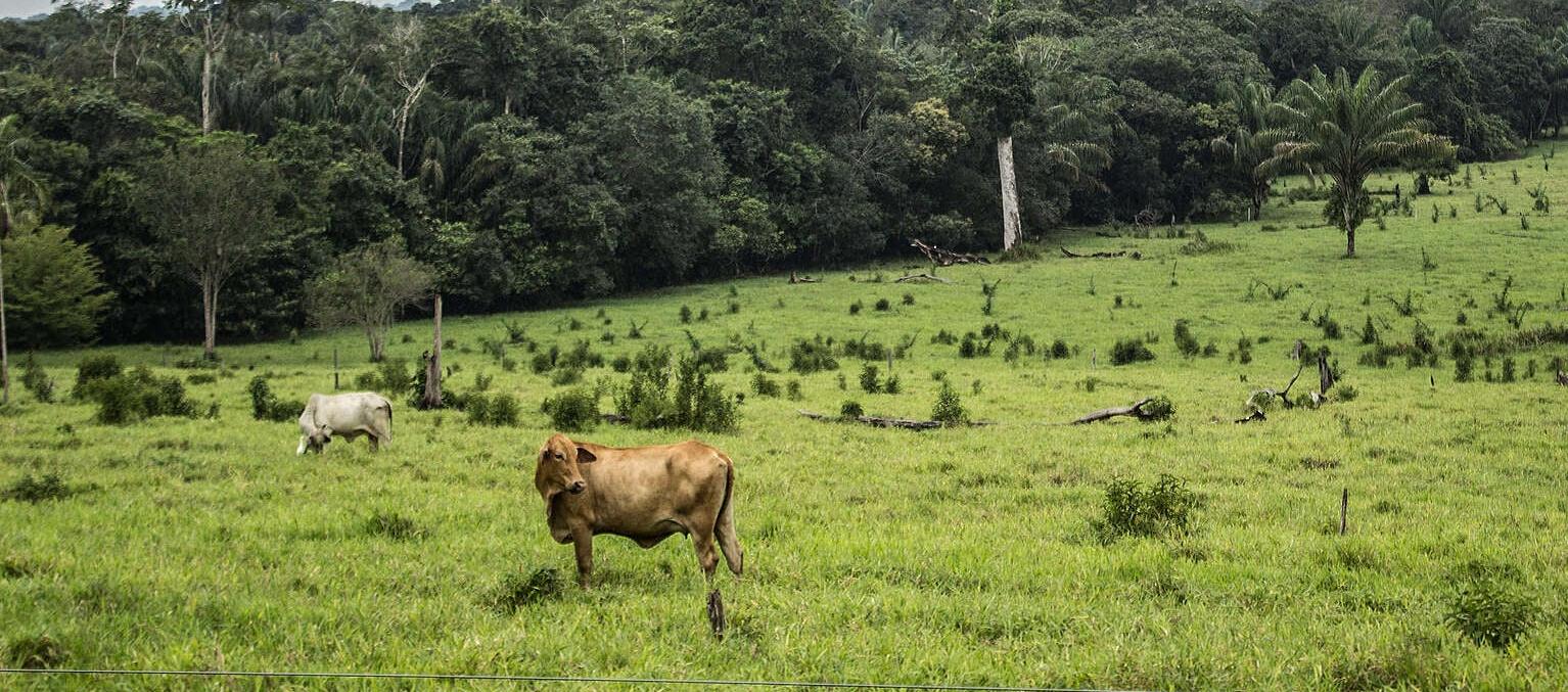 Parque Natural La Macarena
