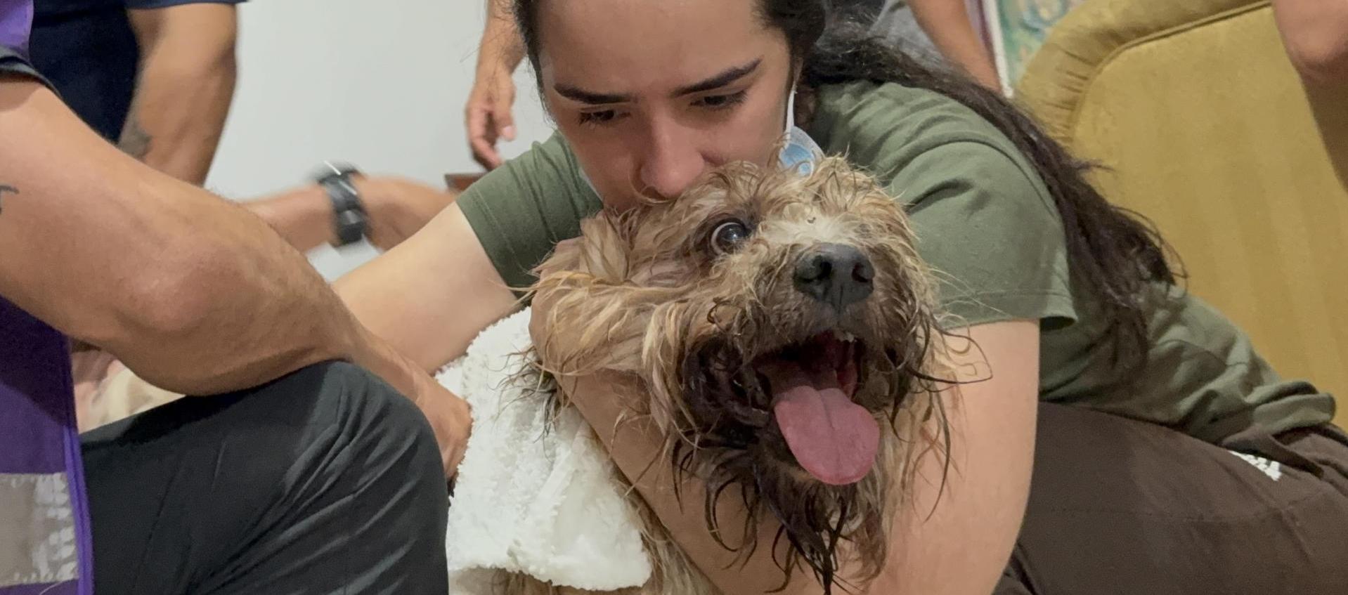 'Antonio' tenía lesiones en una de sus patas y varias raspaduras