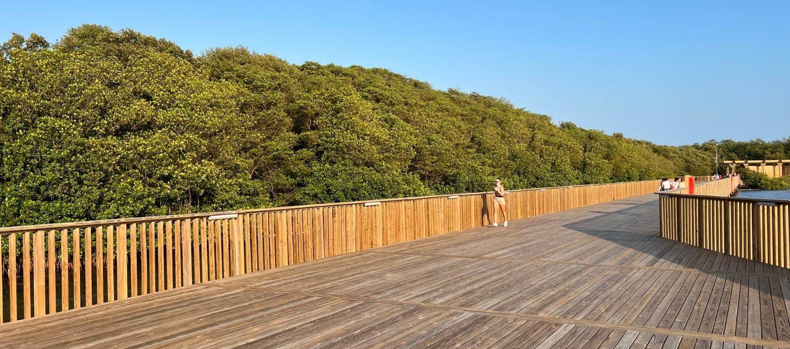 Ecoparque Ciénaga de Mallorquín. 