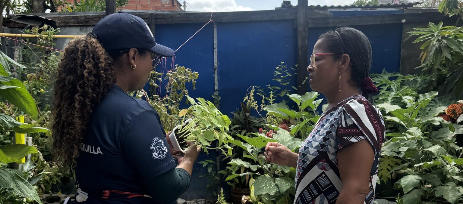 El abono será usado para que las plantas crezcan sanas. 