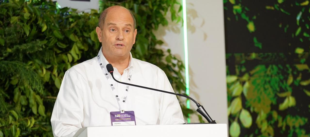 El presidente de la Junta Directiva de Andeg, Andrés Wolff.
