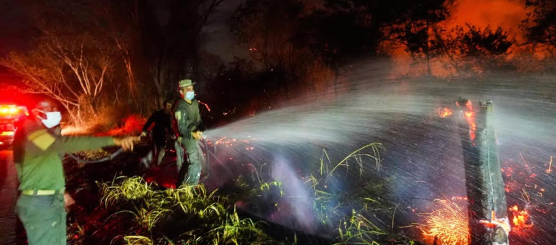 Incendios forestales en el departamento del Tolima. 