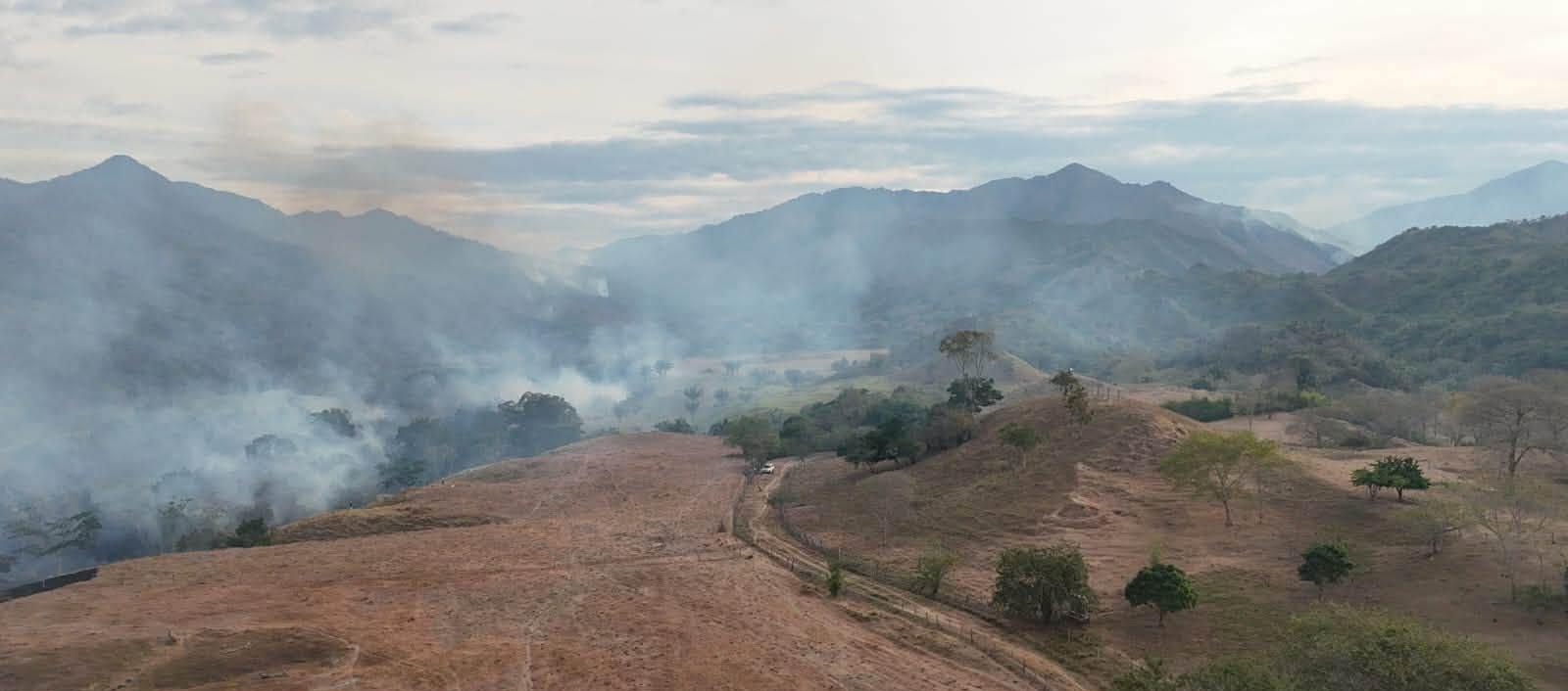 Imagen de uno de los incendios.