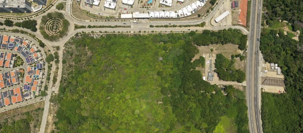 Lote de más de 33.000 metros cuadrados.
