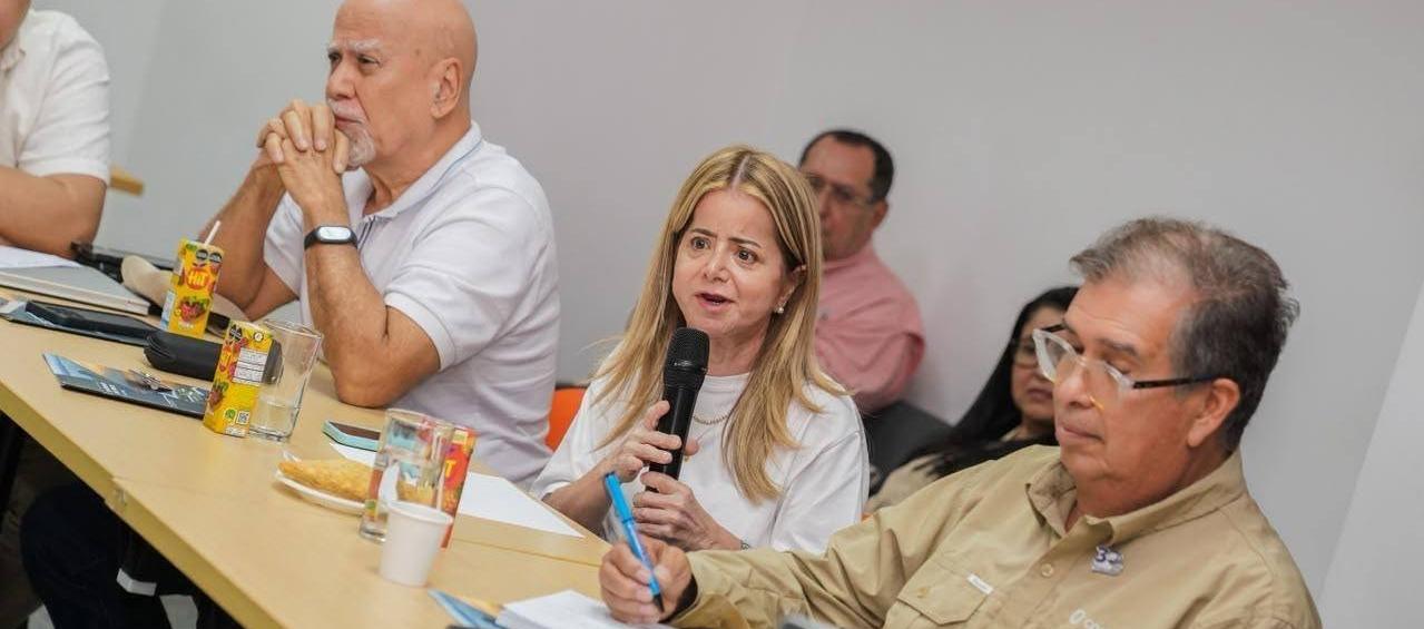 La Ministra de Transporte, Elsa Noguera.