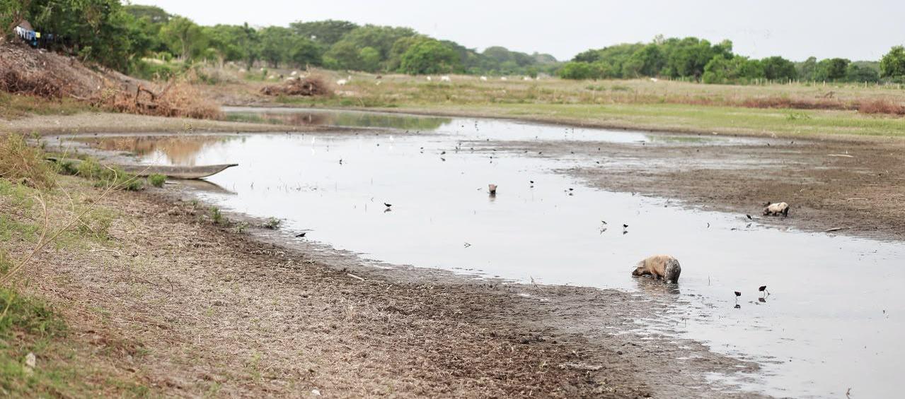 Un tramo del Río Magdalena