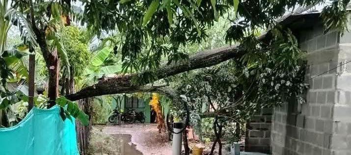 Vendaval en Juan de Acosta