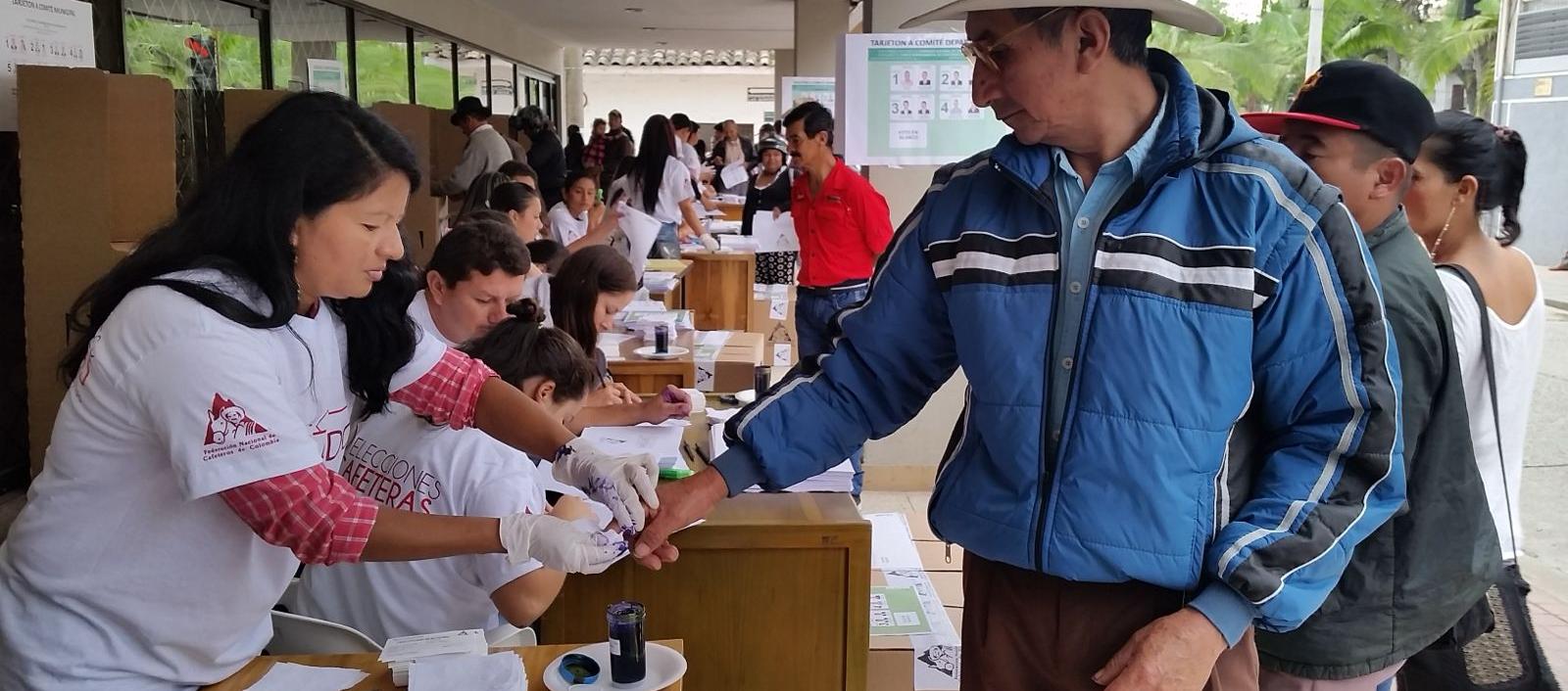 Elecciones de productores de café será el 5 y 6 de septiembre en forma presencial.