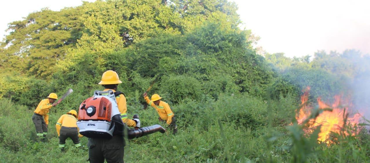 Organismos de socorro atienden emergencia por incendio forestal. 