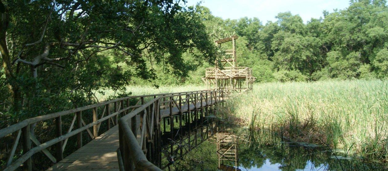 Vía Parque Isla Salamanca.
