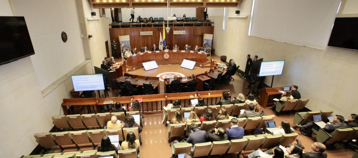 Sala plena de la Corte Constitucional.