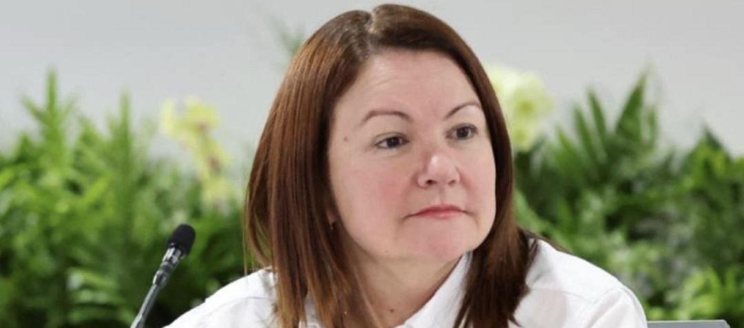 La ministra de Hidrocarburos, Paula Henao.
