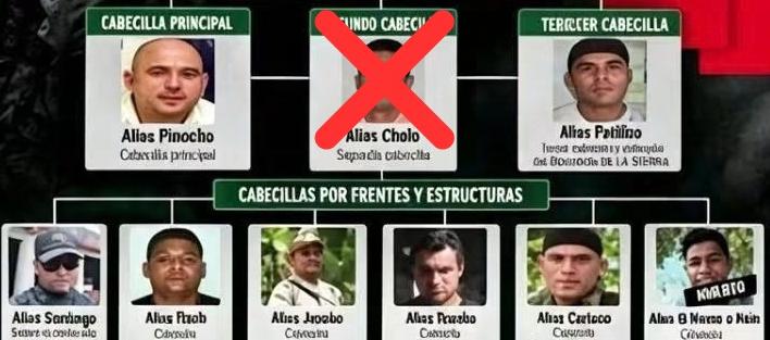 Organigrama de las ACSN