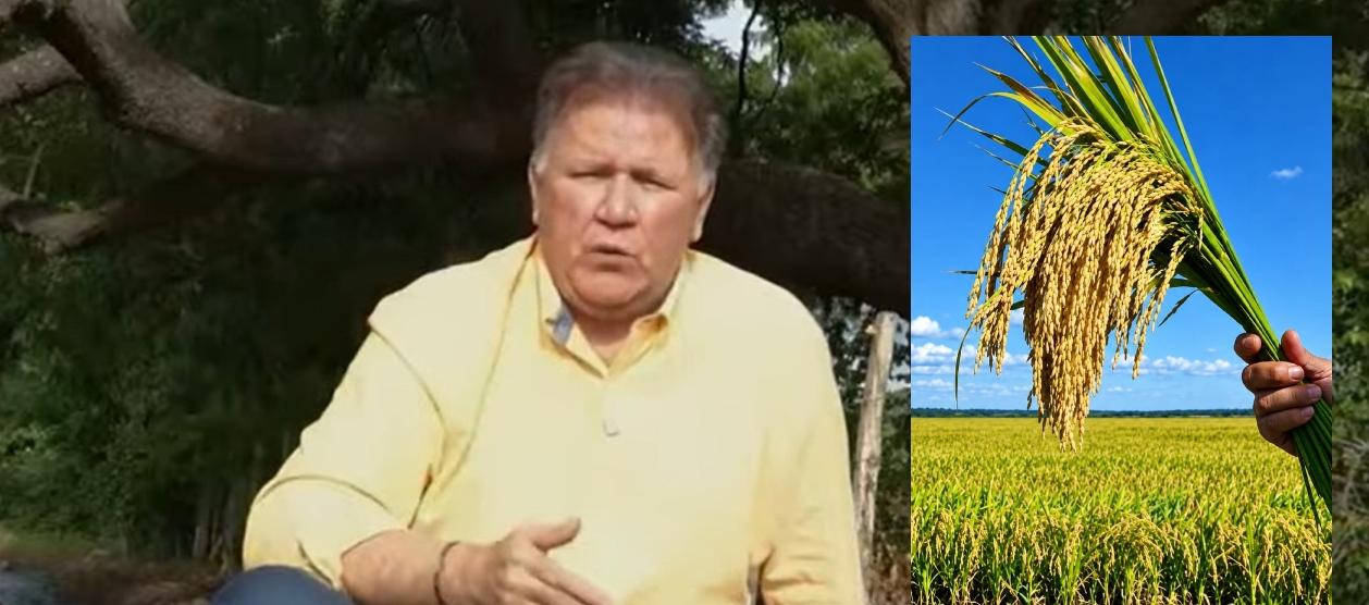 El Ministro de Agricultura, Indalecio Dangond, y un cultivo de arroz.