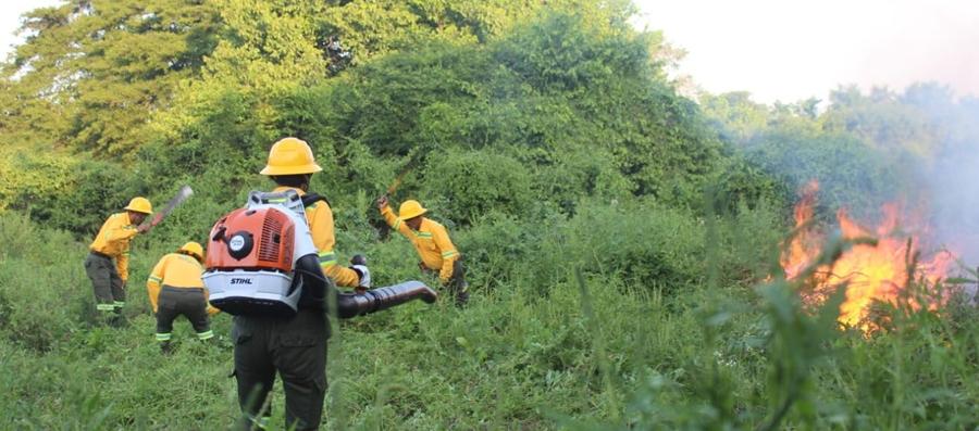 Incendio forestal