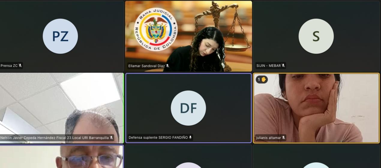 Julianis Altamar durante la audiencia virtual de este miércoles. 