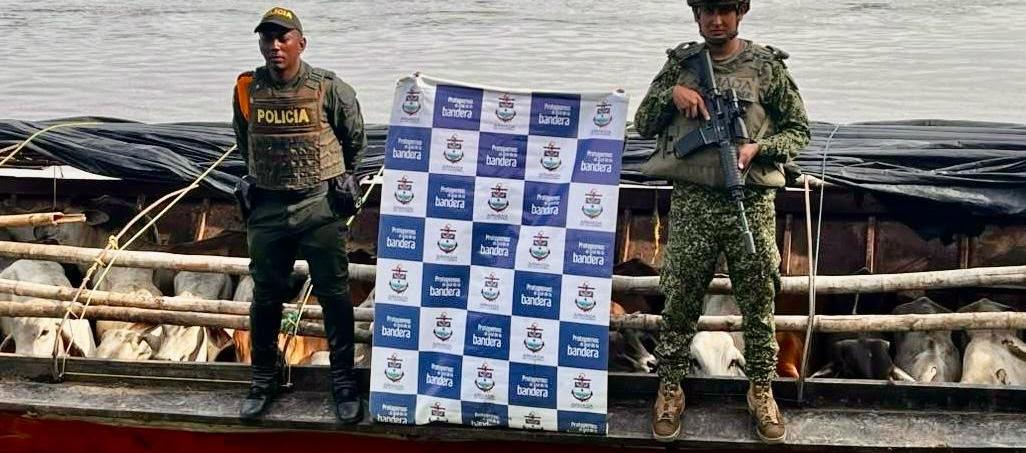 Parte de lo incautado en octubre