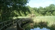 Vía Parque Isla Salamanca.