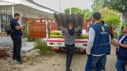 Los materiales entregados por la Alcaldía a la familia afectada. 