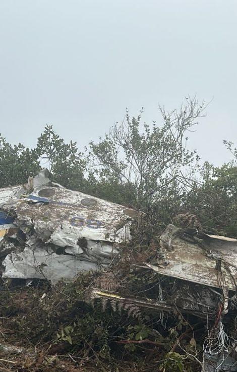 Parte del avión accidentado. 