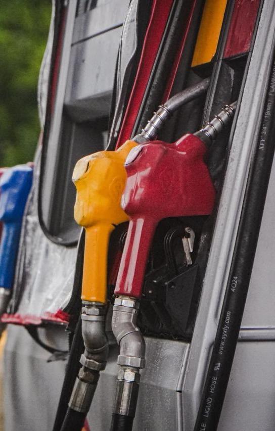 Imagen de referencia.