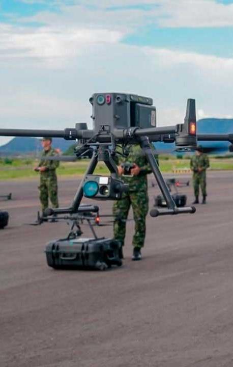 Imagen de referencia.