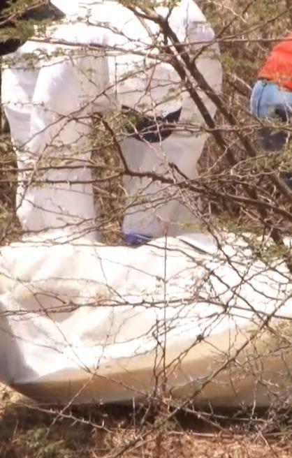 Imagen de referencia. 