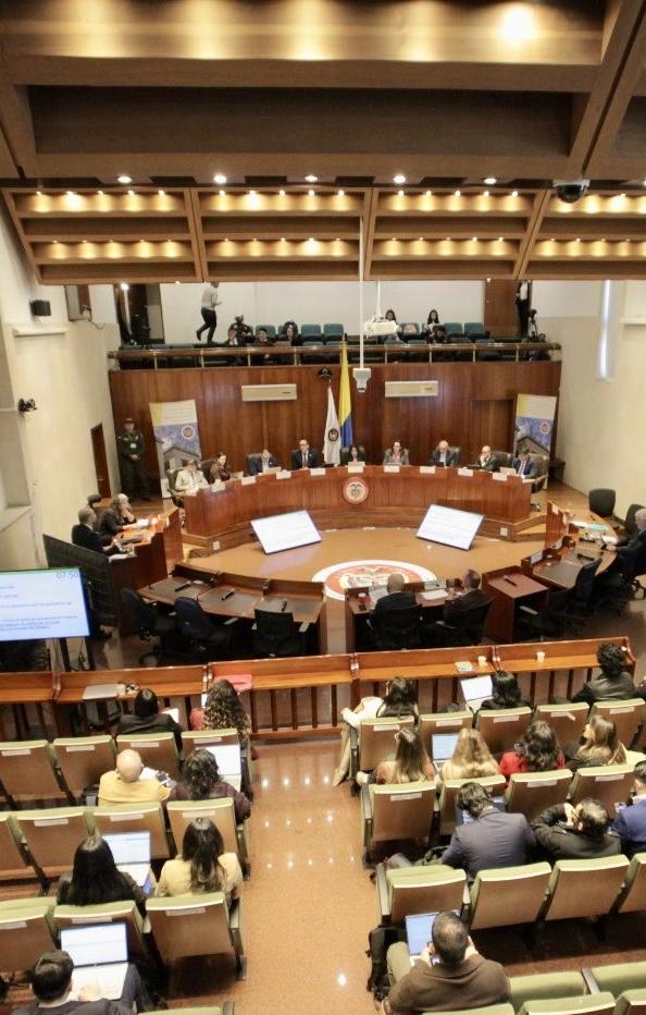 Corte Constitucional.